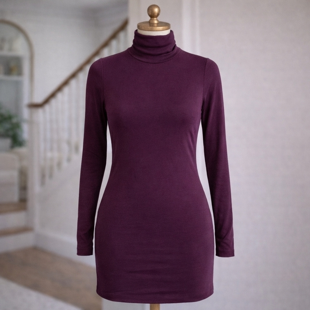 aritzia Talula Plum Purple Turtleneck Dress